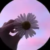 violetaaparicio22 - @violetaaparicio22 - TikTok