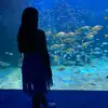 Violeta Arroyo - @violetaarroyo08 - TikTok