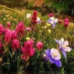 Violeta Bello - Facebook