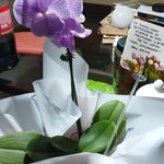 Maritza Violeta Benavides Cruzado - @maritzabenavides63 - Instagram
