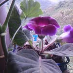 violeta cadena.15 - @violeta_cadena15 - Instagram