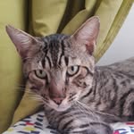 𝓥𝓲𝓸𝓵𝓮𝓽𝓪_𝓬𝓪𝓭𝓮𝓷𝓪 - @violetacadena15 - Instagram