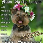 violeta cadena - @cadenavioleta - Instagram