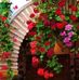 Violeta Cadena - Facebook