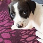 Violeta Cantu - @violeta.cantu.710 - Instagram