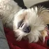 Violeta Cantu Val949 - @violetacantuval94 - TikTok