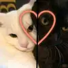 💋Viole💋 - @violeta.chua.mart - TikTok