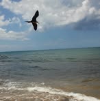 Violeta Cintron Garcia - Facebook