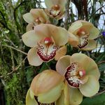 Violeta Cisneros - @violetita_1953 - Instagram