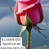 Violeta - @violetaconde1 - TikTok