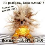 Violeta Dimova - @dimova1527 - Instagram