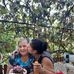 Violeta Enache - Facebook