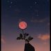 Violeta Gomez - Facebook