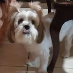 Farley Violeta Bone Perdomo - @farleybone - Instagram