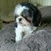 Violeta Perdomo - Facebook