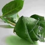 Vipul Arya - @vipul.arya.338 - Instagram