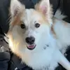 Vipul Gupta - @vipulgupta34 - TikTok