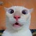 VIRAK PICH - Facebook