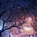 Tony Virvel - Facebook