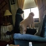 Virginia Rush Lehr - Facebook