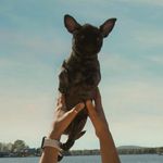 VIRGIL ALEXANDER - @vibrant_virgil - Instagram