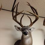 Virgil Alexander - @161inch8pt - Instagram