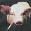 Virgil Baker - @virgilbaker7 - TikTok