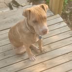 Virgil Baker - Facebook
