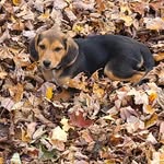 virgil baker - @vbaker1977 - Instagram