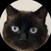Virgil Haynes - @virgil.haynes - TikTok