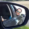 virgilhansen4 - @virgilhansen4 - TikTok