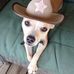 Virgie Harrell - Facebook