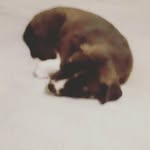 virgilmoney - @holmanvirgil20 - Instagram