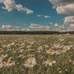 Virgil Lowery - @virgillowery425 - Instagram