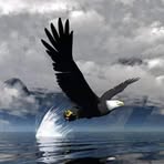 Virgilio Ramirez - Facebook