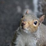 @virgilshafferphoto - Instagram