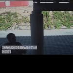 @virgilsimpson - Instagram