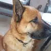 Virgil Stan 15 - @virgilstan.15.9 - TikTok