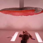 Mariagrazia Wettstein - @mgwettsteinvirgilio.it - Instagram