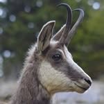 Virgile Itzstein - @virgileitzstein - Instagram