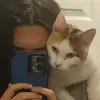 StonedVergil - @stonedvirgil - TikTok