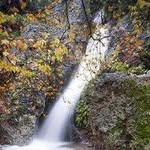 Virgil Stone 829 - @nalanerdogan61579104 - Instagram