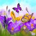 June E Vigil-Storm - Facebook