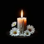 Virgilio Castro - Facebook