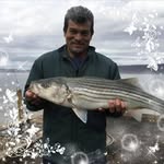 Virgilio Castro - @virgiliocastro1953 - Instagram