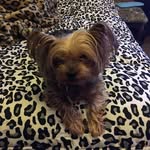Virginia Altman - @vgaltman1 - Instagram