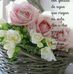 Virginia Badillo - Facebook