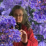 Virginia Bain - @ginnybain - Instagram