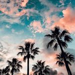 @_virginia_barbieri_145 - Instagram
