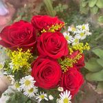 Virginia Barraza - @virginiabarraza5 - Instagram